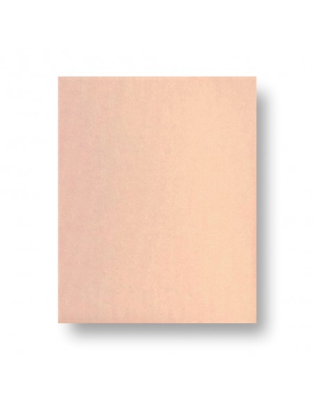 PFERD HOJA BP ECO AC 230X280 GRA 180