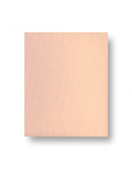 PFERD HOJA BP ECO AC 230X280 GRA 60