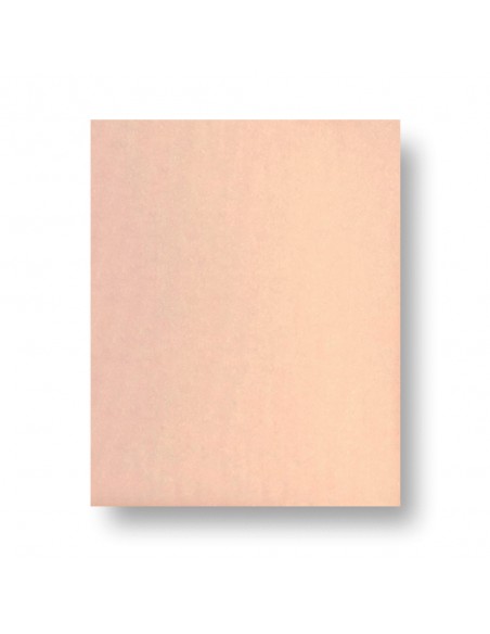 PFERD HOJA BP ECO AC 230X280 GRA 600