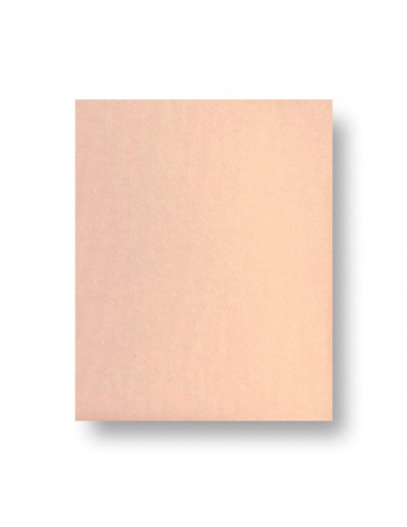 PFERD HOJA BP ECO AC 230X280 GRA 800