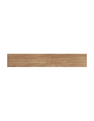 DEXCO CERAMICA / PORCELANATO GIARDINO BE ACT 20X120
