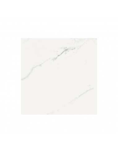 DEXCO CERAMICA / PORCELANATO STATUARIO GR NAT BOLD 30X60