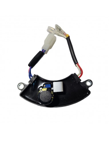 REPUESTO AVR PARA GENERADOR HERON 4000W