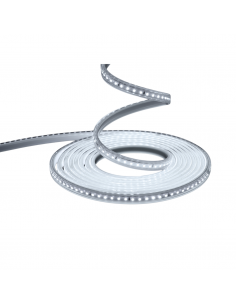 WELLMAX CINTA LED BLACO 6500K 120V ROLLO 100MT 7WATTS 2